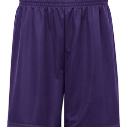 BDG ADT 9 MINI MESH SHORT